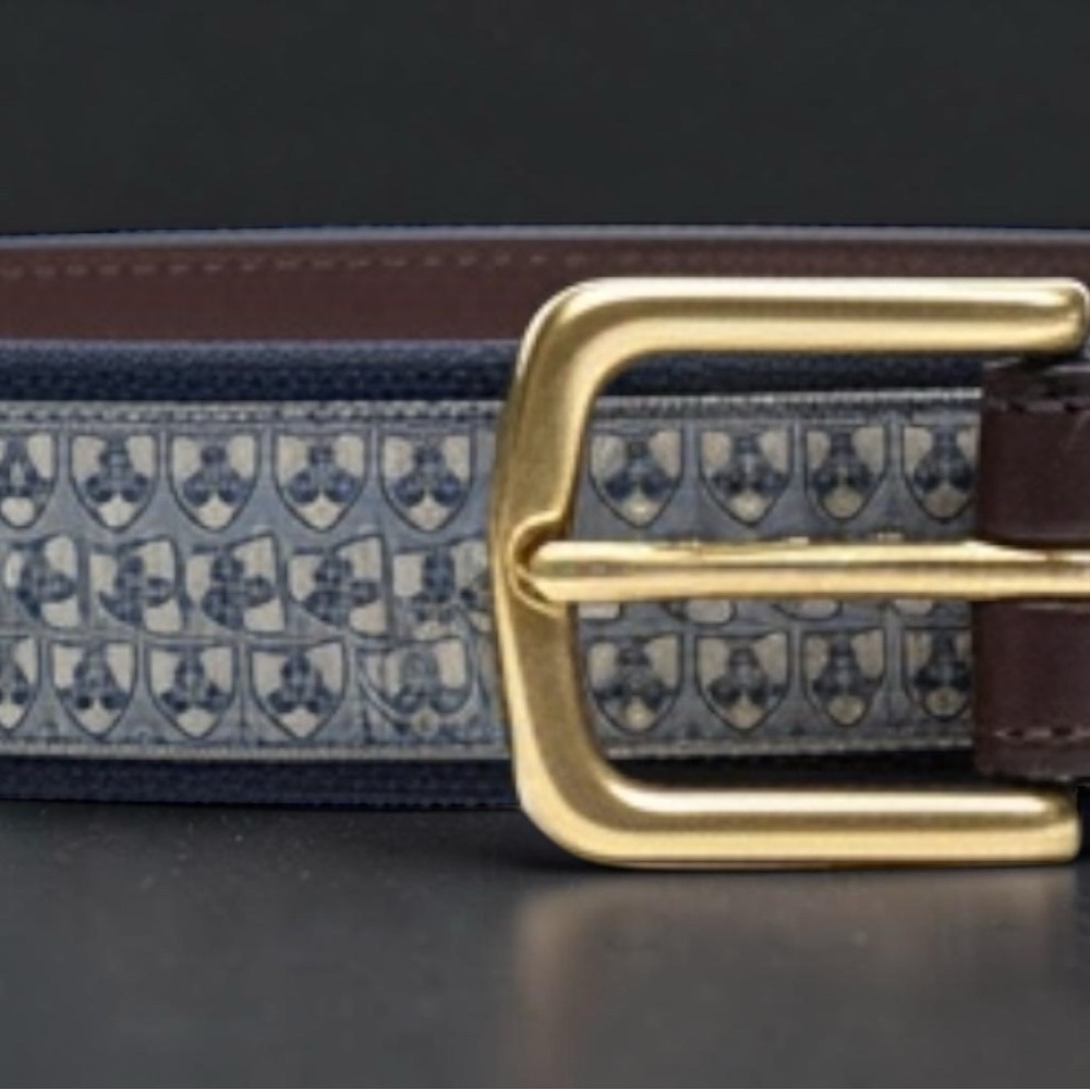 Vineyard Vines Blue Patterned Fabric Belt with Brown Leather and Gold Buckle